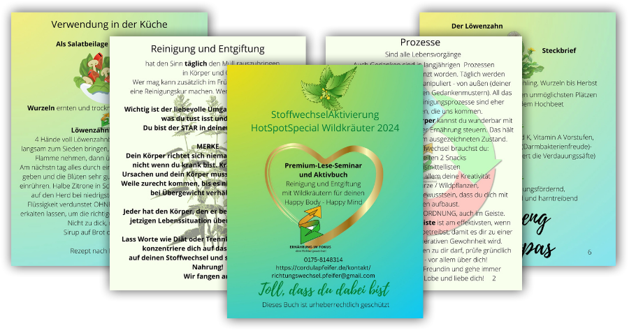 wildkraeuter-stoffwechsel-aktivierung